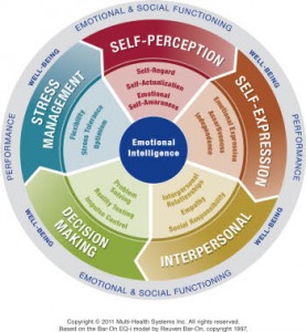 Emotional Intelligence